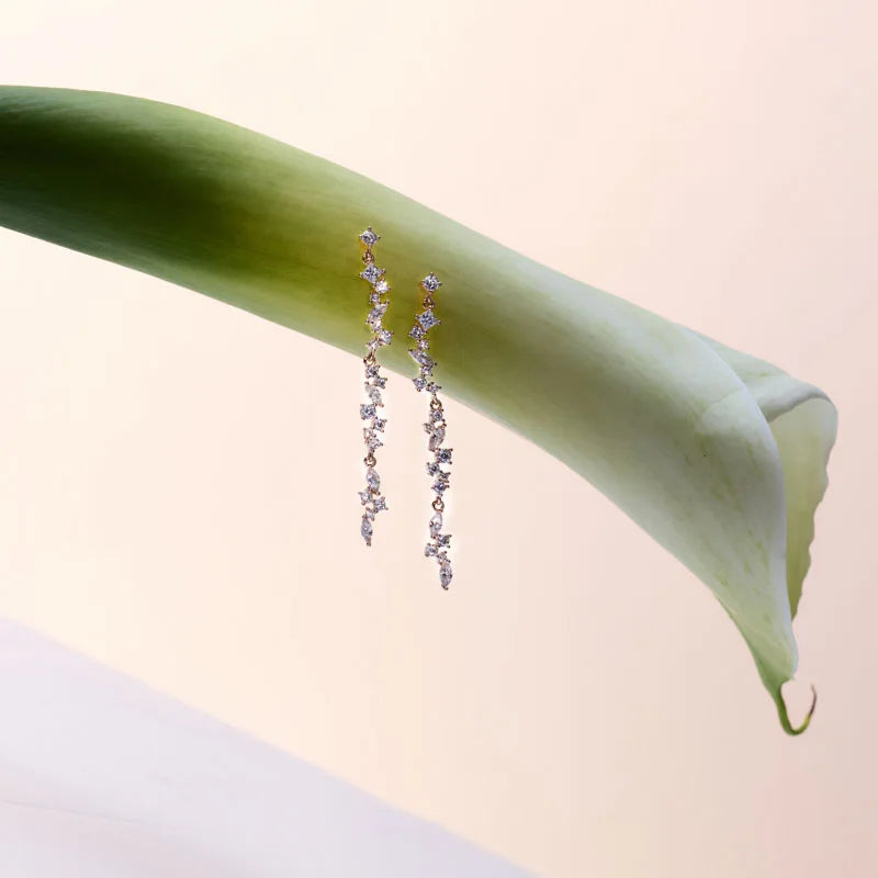 Delicate long drop earrings with sparkling cubic zirconia stones, elegantly styled on a green leaf for a fresh and radiant look.