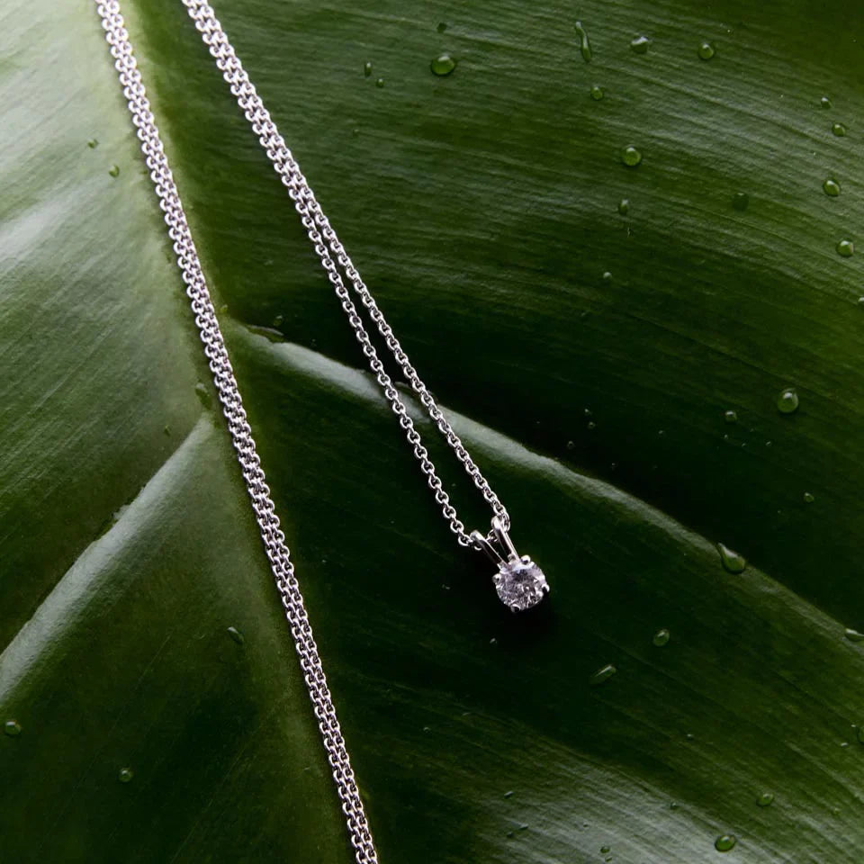 Elegant 14k white gold solitaire diamond pendant displayed on a fresh green leaf, highlighting its timeless and natural beauty.